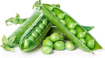 Qualtivate HYB-6A Green Arrow Pea Seeds Seed(200 per packet)