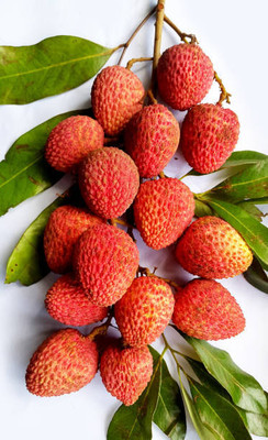MAA LITCHI,LICHEE,LYCHEE Seed(11 per packet)