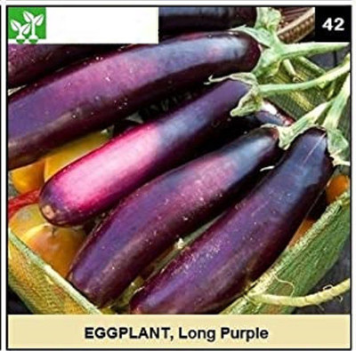 CYBEXIS LONG PURPLE EGGPLANT600 Seeds Seed(600 per packet)