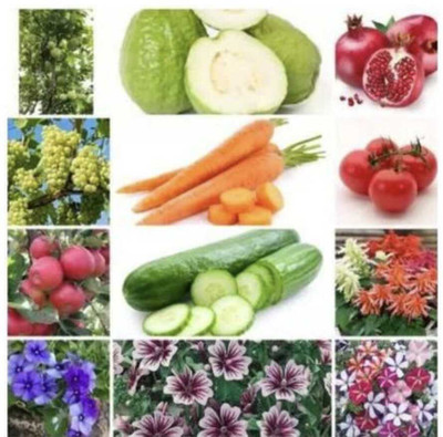 Plantzone all mixed vegetable seeds Seed(100 per packet)
