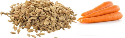 DEYS AGRO ™ hybrid Carrot|orange Gajar seeds, high Germination Vegetable Seed(40 per packet)