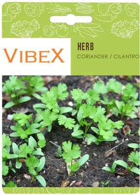 Biosnyg Coriander Seed(500 per packet)