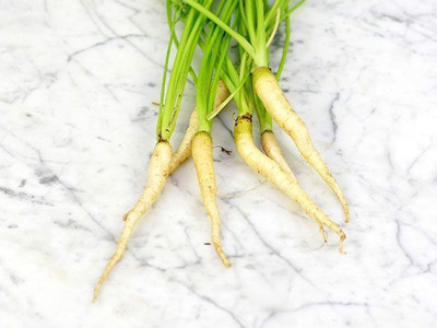 CYBEXIS Belgian White Imported Carrot Variety2000 Seeds Seed(2000 per packet)