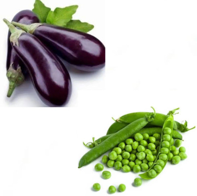 PSAgroinput Brinjal-Green Peas (MATAR) Seed(100 g)