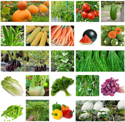 abiswas 20 Variety Of Vegetable Seeds Combo Pack Seed(1750 per packet)