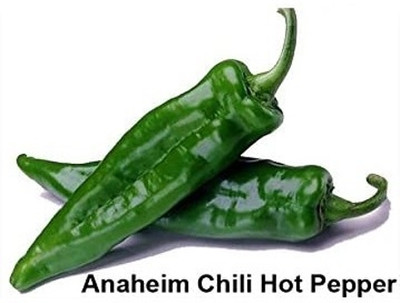 Qualtivate GBPT-4A Anaheim Chilli Seed(300 per packet)