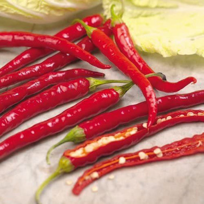 CYBEXIS Rare Hot Chilli seeds DE CAYENNE2400 Seeds Seed(2400 per packet)