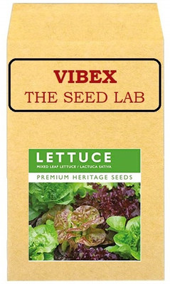 CYBEXIS Mixed Leaf Lettuce Hybrid Seeds1000 Seeds Seed(1000 per packet)