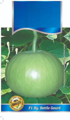 Qualtivate HUA-3A Pusa Round Bottle Gourd Seed SEED Seed(50 per packet)