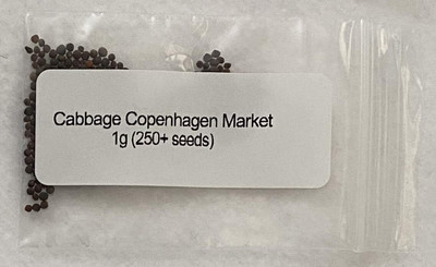 WILLVINE PUSA -VIII Seeds Of Cabbage Golden Acre, Heirloom [2.5g] Seed(750 per packet)