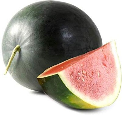 Qualtivate PUAS-2A Watermelon Round Black Organic Seeds Seed(100 per packet)