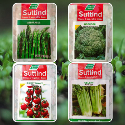 CYBEXIS Exotic Vegetable Seeds Combo Pack Of 4 Seed(10 g)