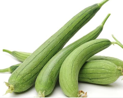 CYBEXIS ATS-84 - Vegetable - Sponge Gourd - High Yielding - (100 Seeds) Seed(100 per packet)