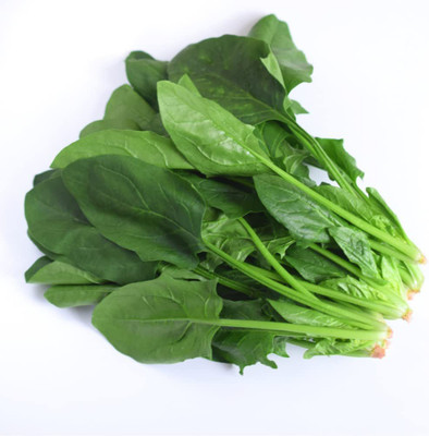 CYBEXIS NBIR-93 - Spinach (Viroflay) - (750 Seeds) Seed(750 per packet)