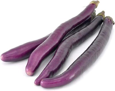 CYBEXIS High Germination Long Purple Eggplant Brinjal Seeds2400 Seeds Seed(2400 per packet)