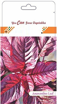 WILLVINE Amaranthus Leaf Red/Cholai Red Saag-[2000 Seeds] Seed(2000 per packet)