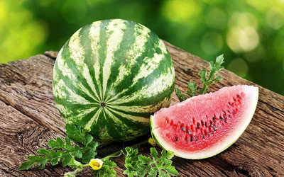 BDSresolve Watermelon seeds for farming PACK OF 64 Seed(64 per packet)