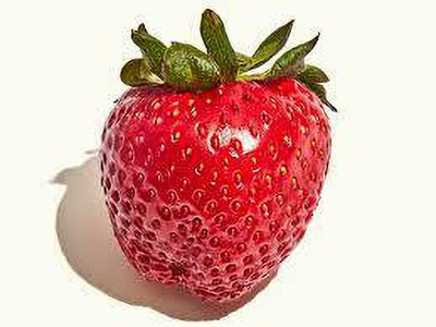 XOLDAA XOLDAA F1quality hybrid strawberry seeds Seed(65 per packet)