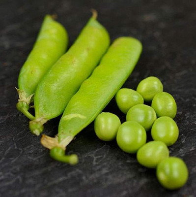 VibeX ® RXI-299 Early Alaska Pea Seeds Seed(50 per packet)