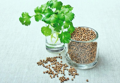 ZIXA Coriander Dhaniya Seed(2000 per packet)