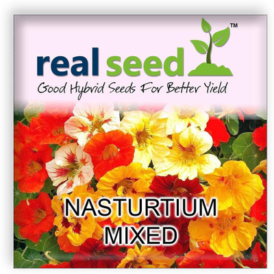 CYBEXIS Nasturtium Mixed Flower Seeds Seed(50 per packet)