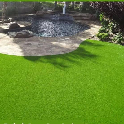 Greenfall Carpet Grass Seed for Playgrounds and Gardens - 5500 + Seeds Per Pack Seed(5500 per packet)