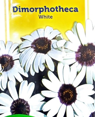 KRASHAK White flower Seed(2 per packet)