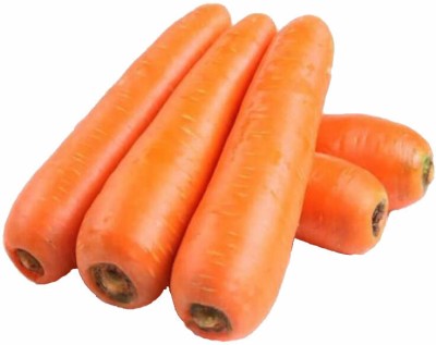 Quentova Gaajar Orange Carrot Vegetable-9V-RJ Seed(200 per packet)