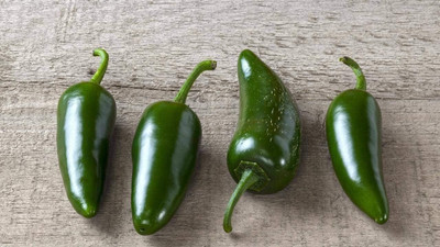 Qualtivate PUA5-A Jalapeno Pepper Seed(300 per packet)