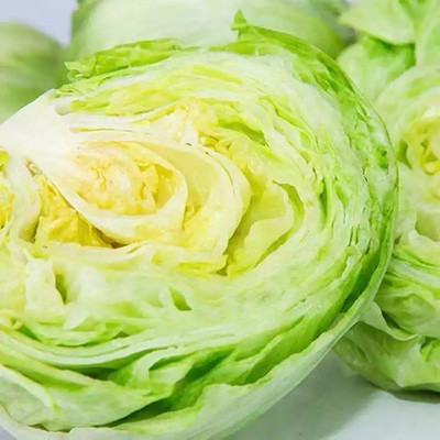 VIATION ICEBERG lettuce green Seed(150 per packet)