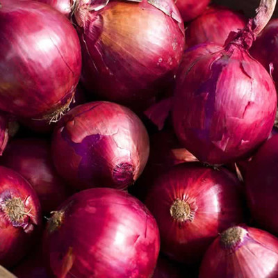 CYBEXIS Giant Red Onion Nasik Seeds 1000 Seeds Seed(1000 per packet)