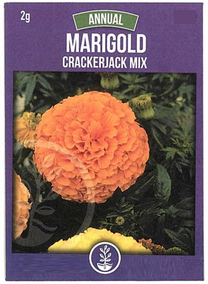 Biosnyg Marigold Seeds - Cracker Jack Mix-[250 Seeds] Seed(250 per packet)