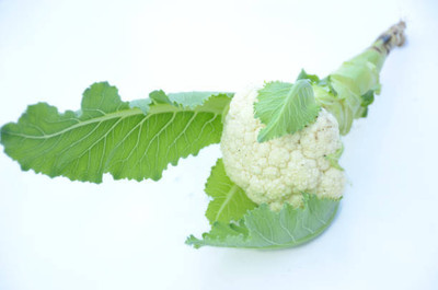 Etail white cauliflower,gobhee seeds Seed(10 per packet)