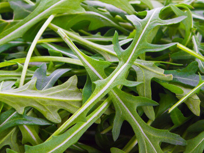 CEZIUS Arugula - Rocket - Italian Cress Seed(100 per packet)