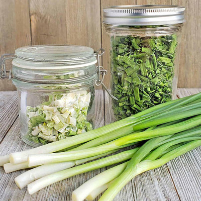 WILLVINE GOI -I Green Onion Seeds Scallion [2.5g] Seed(1500 per packet)