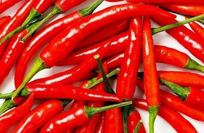 CYBEXIS Fast Germination Rare Red Chili Seeds500 Seeds Seed(500 per packet)