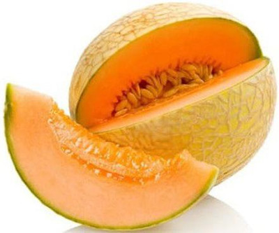 VibeX TLX-92 - Musk Melon F1 Hybrid Nirupama - (1350 Seeds) Seed(1350 per packet)