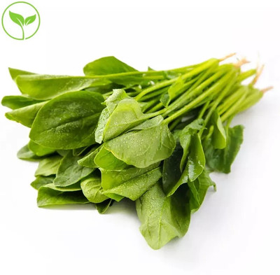 MYLAWN High Quality Spinach Palak Vegetables Seed(2000 per packet)