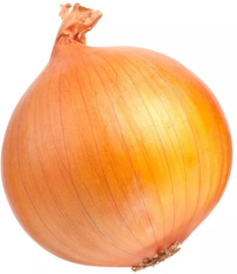 WATIKA Onion yellow onion Seed(2000 per packet)