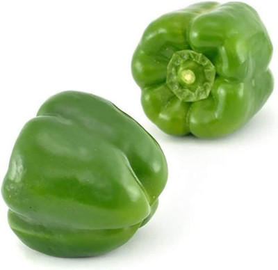 CYBEXIS Sweet Bell Pepper Capsicum Seeds 1200 Seeds Seed(1200 per packet)