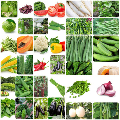 the green dotcom 40 Variety vegetable Combo Seed(1400 per packet)
