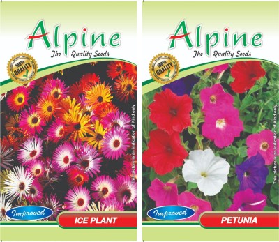 agri max gardens petunia,iveplant flowers colurs(mix) flower seeds, for homegarden, forwinter flowers Seed(30 per packet)