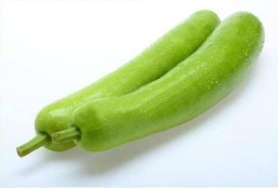 CYBEXIS VVI-89 - Pusa Long Bottle Gourd - (900 Seeds) Seed(900 per packet)