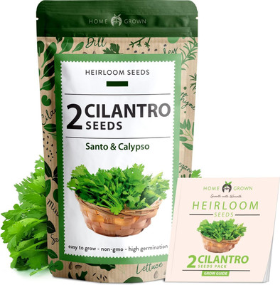 Qualtivate NDIR-141 2 Types of Cilantro Seeds Seed(500 per packet)