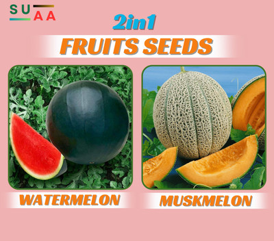 SUAA Watermelon Muskmelon Fruit Combo Pack Seed(70 per packet)