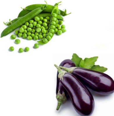 Garden Basket Mattar Begun pack of 2 Seed(100 g)