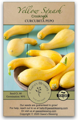 Qualtivate PUAS-96 Crookneck Yellow Squash Seeds Seed(100 per packet)