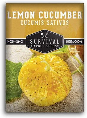 Qualtivate ICRA-2A Lemon Cucumber Seed for Planting Seed(300 per packet)