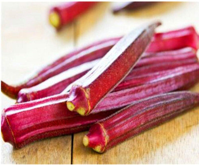 KNESSiN Red Okra Seed(500 per packet)