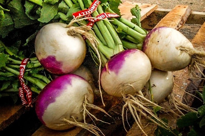 Quentova Turnip - Purple Top White Globe-NDIR-22B Seed(300 per packet)